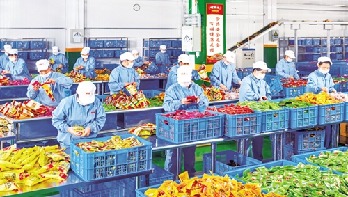 广西促进农产品加工业加速集聚发展 从“田间地头”到“食品车间”的产业跃迁